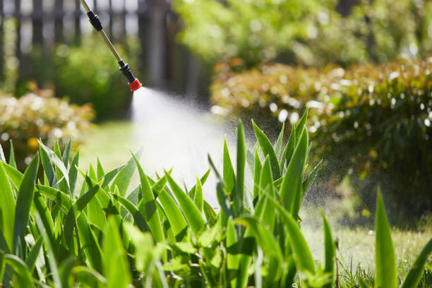 24/7 Emergency Mosquito Control experts in Country Club Hills, IL