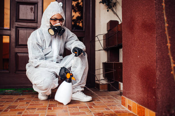 Reliable Mosquito Control contractor in Country Club Hills, IL by Show Me Pest Control